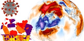 COVID-19: Researchers provides evidence of the link between food insecurity and increased risk of cardiovascular death