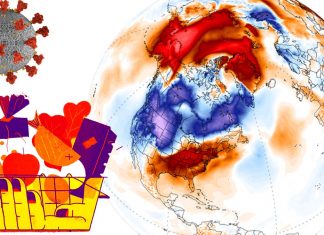 COVID-19: Researchers provides evidence of the link between food insecurity and increased risk of cardiovascular death