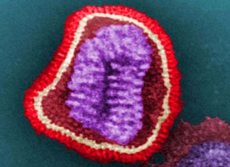 A new therapy for influenza virus infections may also prove effective against HIV and COVID-19