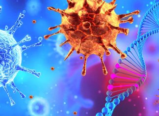 The new D614G coronavirus strain make COVID-19 more susceptible to a vaccine