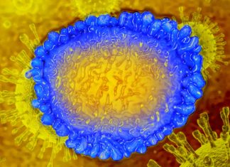 After recovery from SARS-CoV-2 infection immunological memory could mediate a rapid immune response in case of reinfection