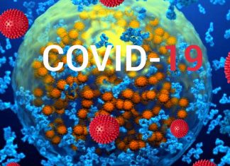 Researchers fuond a subset of individuals that heal quickly while sustaining virus-specific antibody levels after COVID-19