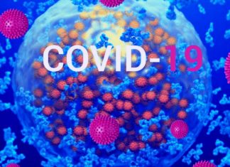 I ricercatori hanno trovato un sottogruppo di individui che guariscono rapidamente mantenendo i livelli di anticorpi specifici del virus dopo COVID-19