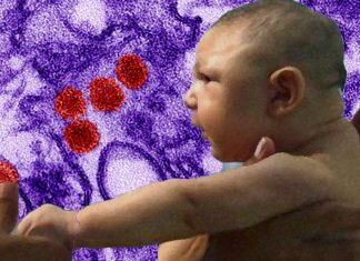 MK-591 – JNJ-404: Two commonly used drugs look promising for fighting Zika infections