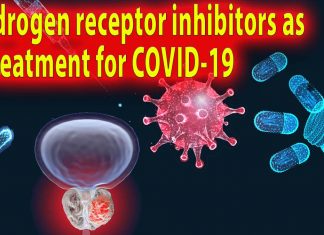 Androgen receptor inhibitors as a treatment for COVID-19