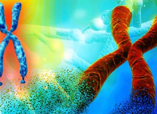 BPN14770 drug: innovative treatment for cognitive function in adult male patients with Fragile X Syndrome