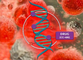 A drug called CC-486 show a 30 percent improvement in survival in patients with acute myeloid leukemia (AML)