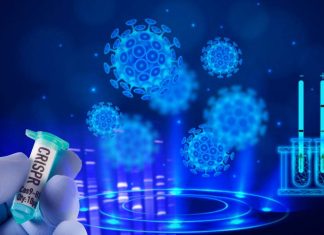 COVID-19: New CRISPR-based test uses a smartphone camera