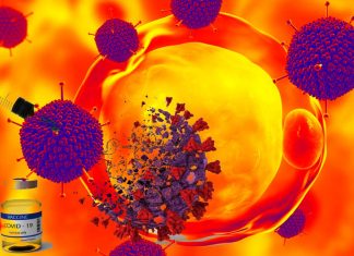 COVID-19 vaccine: how does ChAdOx1 nCov-19 induces broad antibody and T cell functions ?