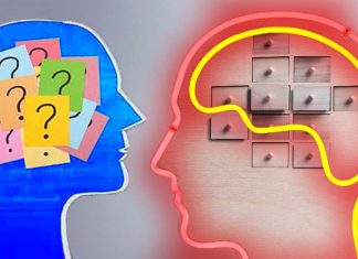 Deficits in social memory: People with neuropsychiatric disorders sometimes exhibit anomalous behaviors