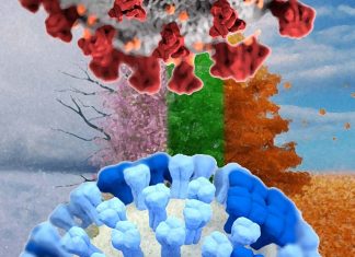 How the seasonal shift will impact the spread of SARS-CoV-2 ?