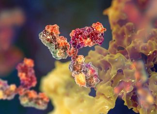NIH-CoVid-b112 nano antibody stuck directly to the ACE2 receptor binding portion of the SARS CoV-2 spike protein