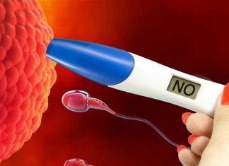 I neuroni RFRP sono l’anello mancante tra stress e infertilità