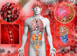 SARS-CoV-2 è in grado di utilizzare la mucosa olfattiva come porta di ingresso nel cervello