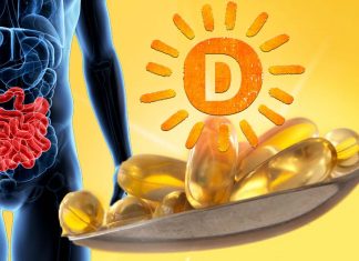 Vitamin D regulates calcium in a section of the intestine differently than previously thought