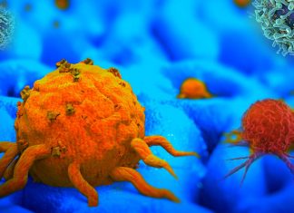 The drug ambrisentan significantly reduce the capacity of tumor cells to migrate and invade other tissues