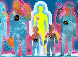 A person’s antibody response to influenza viruses is dramatically shaped by their pre-existing immunity