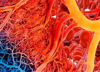 New transparent liquid bandage can detect tissue oxygenation as well as the gold standard of an oximeter