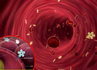 Children who experience kidney damage as a result of diabetic ketoacidosis are more likely to develop cognitive impairments