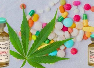 Cannabis use by people in care for opioid addiction could reduce fentanyl use
