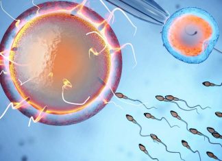 IVF boost: Use acoustic wave to separate high-quality sperm in assisted reproduction