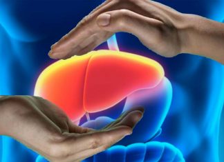 A new gene biomarker identification technique indicate liver toxicity quickly and accurately