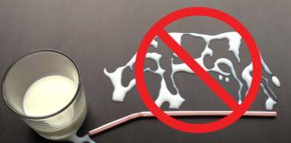 Israeli startup Remilk makes dairy products without the need for a single cow in the process