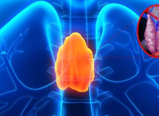 Thymus gland works to prevent miscarriage and diabetes in pregnant women