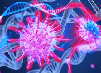 COVID-19: Scientists in Australia have developed a method for the rapid synthesis of safe vaccines