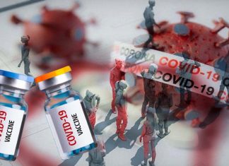 COVID-19: Doubling the vaccine coverage with a single dose compared with a 2-dose regimen will accelerate pandemic control