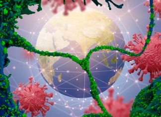 COVID-19: The E484K mutation is particularly clever in the escape of immunity