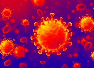 COVID-19: molecular signatures could be used to predict the severity of a patient’s disease