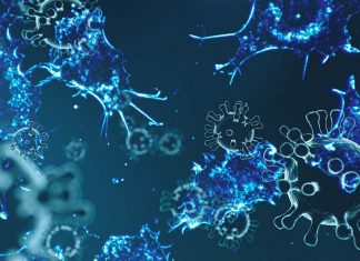 COVID-19: myeloid-derived suppressor cells impact impact disease severity