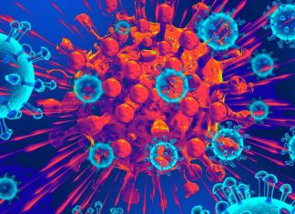COVID-19 : A new therapy has shown success in preventing the diseases symptoms