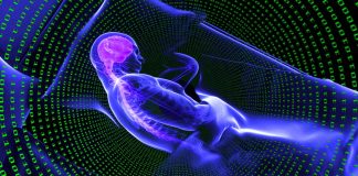 Deep sleep has an ancient restorative power to clear waste from the brain