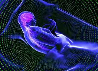 Deep sleep has an ancient restorative power to clear waste from the brain