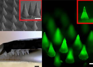 COVID-19: A new microneedle patch can capture a biomarker with unprecedented sensitivity
