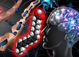 Combat Multiple Sclerosis: Lack of oleic acids leads to a loss of the metabolic sensors that activate T cells