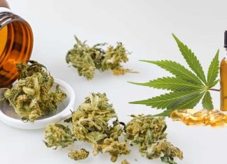 Seasonal trends in marijuana use