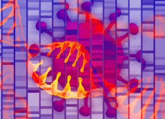 COVID-19: Genes that cause CF and SCD are linked to a serious disease