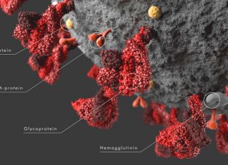 COVID-19: Researchers have discovered what may be the Achilles’ heel of the coronavirus