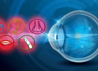 Vision is the most dominant sense for most humans who are not visually impaired