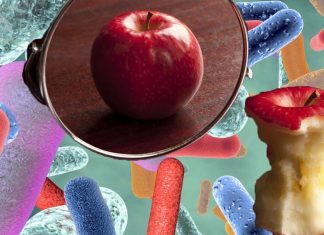 Maintaining a better gut microbial balance may help to protect against symptoms of anorexia