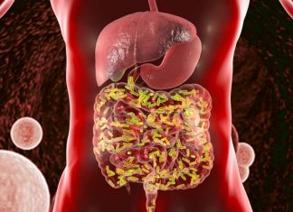 Gut microbiome: Blood type co-determines composition
