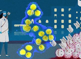 Coronaviridae – Flaviviridae – Filoviridae: Researchers identified compounds produced by marine and terrestrial organisms with potential efficacy against lethal viruses