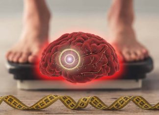 Obese individuals are at greater risk for more frequent migraine