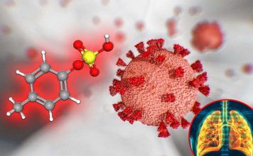 P-cresol sulfate (PCS) combat asthma and COVID-related lung diseases discovered