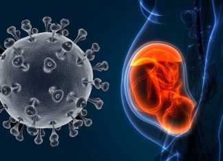 COVID-19: Cell-surface estrogen receptor GPER1 in mom’s placenta is critical during viral infection