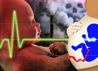 Poor air quality is associated with a considerable proportion of pregnancy loss