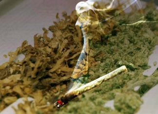 Smoking tobacco – marijuana: high acrolein levels may be used to identify patients with increased cardiovascular risk